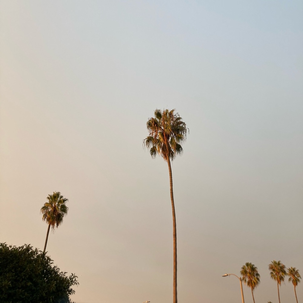 Meet your Posher, Weronika